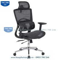 Ghế Công Thái Học GLE10