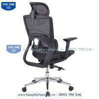 Ghế Công Thái Học GLE10